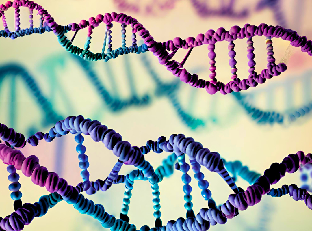 Using DNA Tests: Exploring ancestry through DNA testing services.